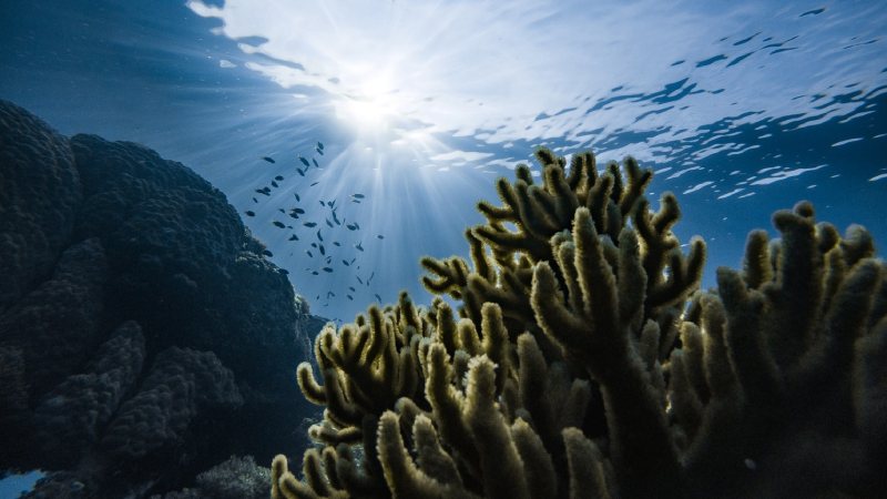 黄大仙旅游攻略