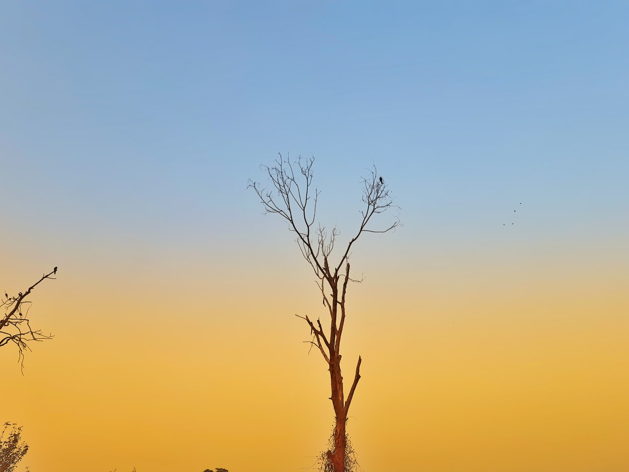 湘西红石林景区旅游攻略