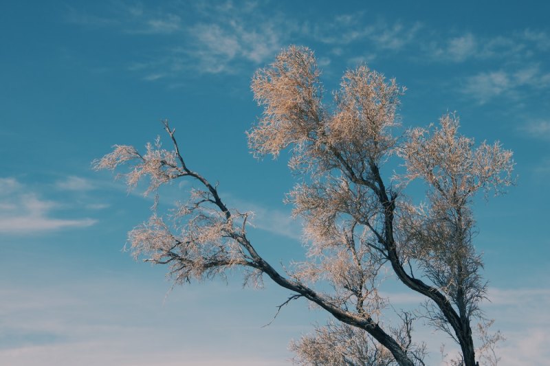 上海自驾旅游攻略