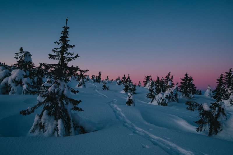 黄山旅游攻略自助游