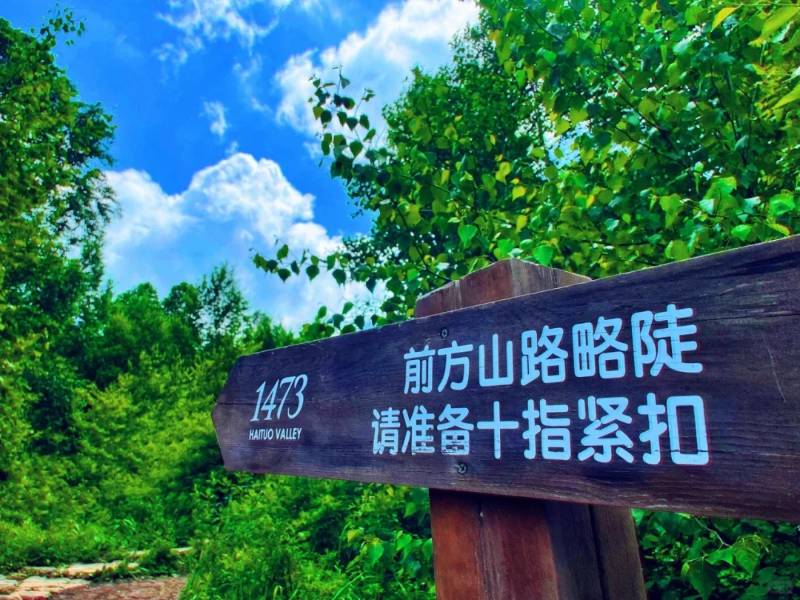 美丽的雾凇岛，名副其实