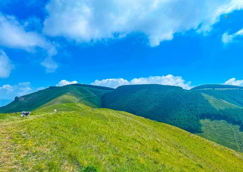 青龙峡游玩攻略