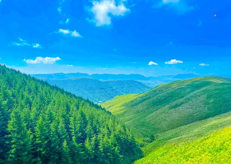 黄草梁徒步勇登高峰