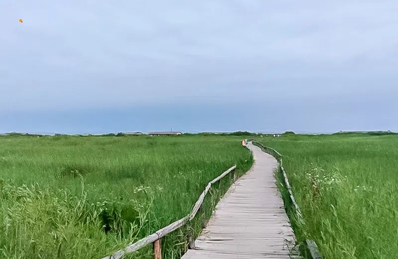 记捧河湾零星小事件