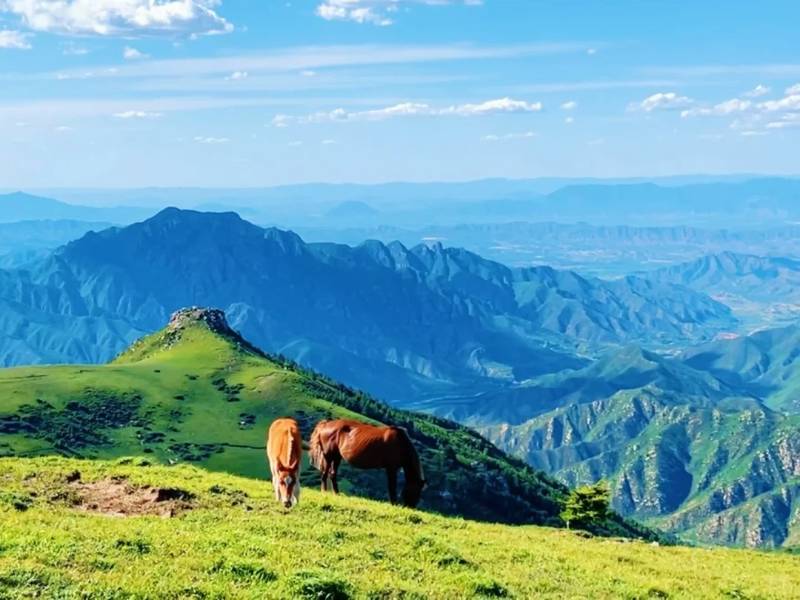 老驴友的崂山旅游攻略