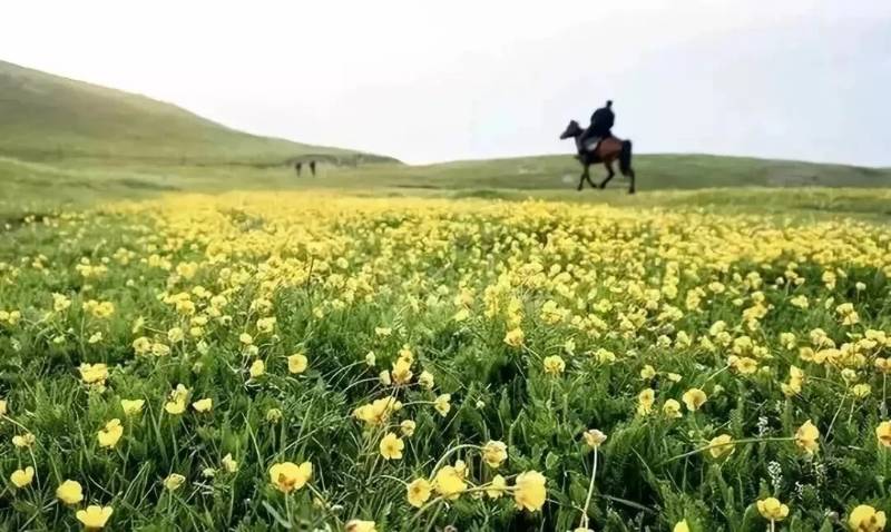 蓝天白云尽在雾灵山